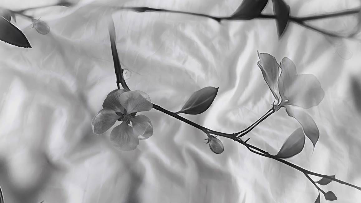 Heckettlane Berta dekbedovertrek