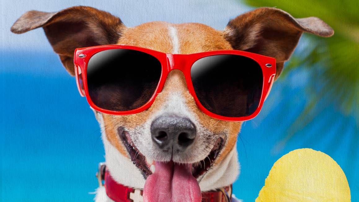 Good Morning Diesel strandlaken