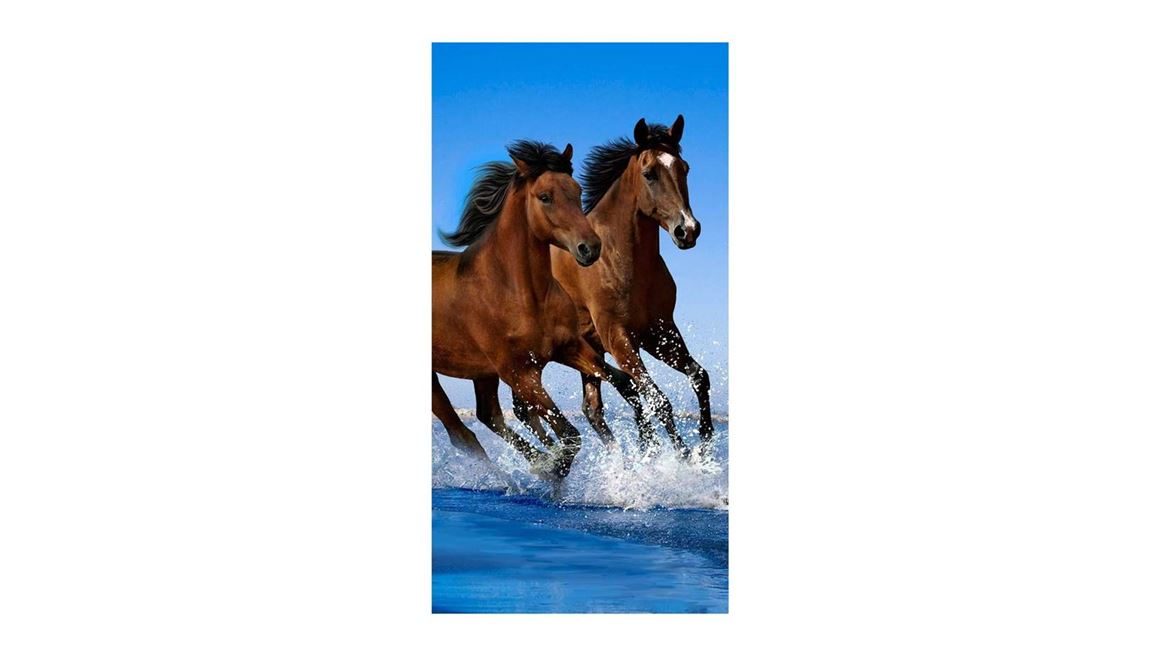 Paarden strandlaken