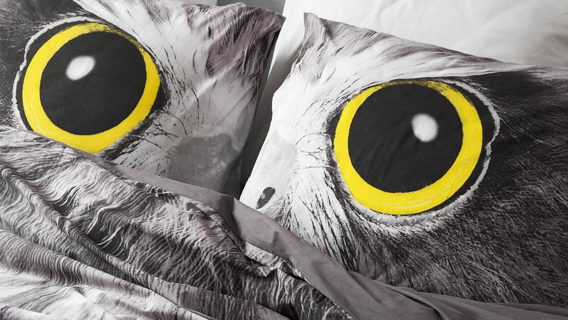 Dreamhouse Bedding Owl Look dekbedovertrek