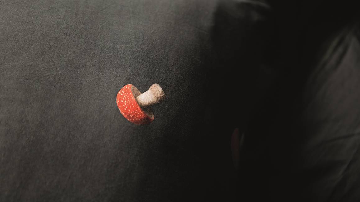 SNURK Mushrooms flanel dekbedovertrek