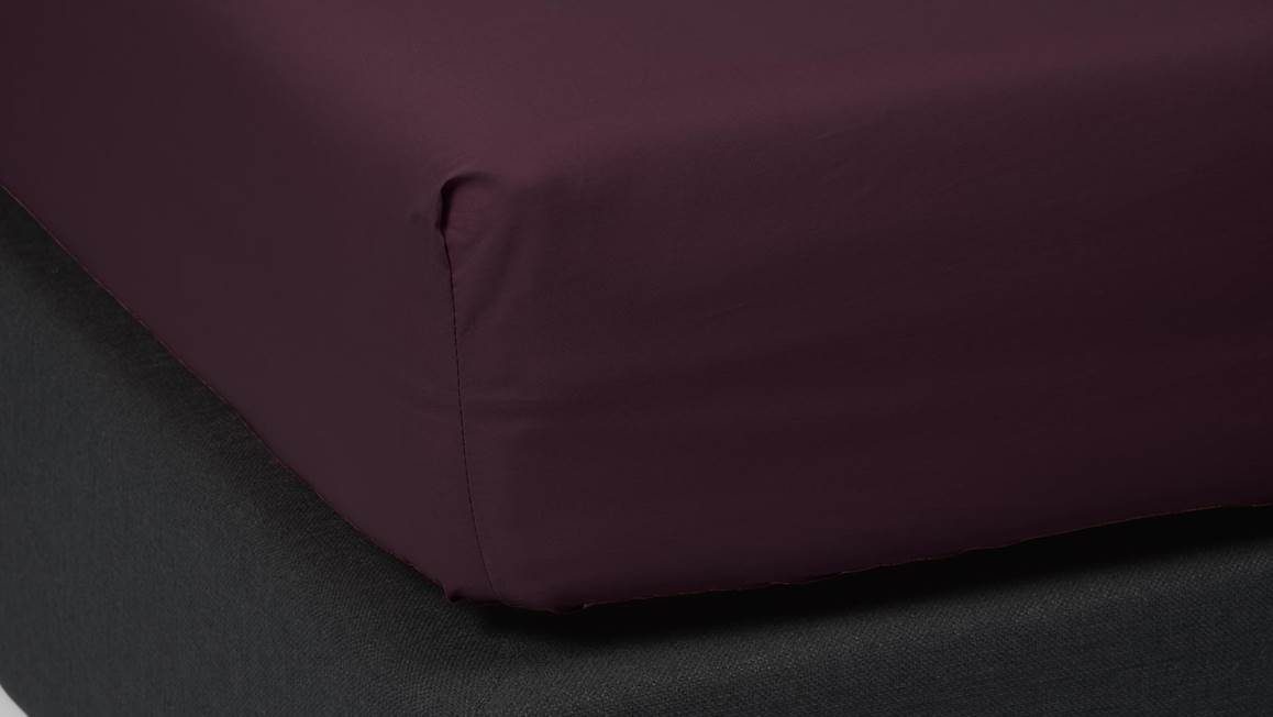 Essenza Premium Percale katoen hoeslaken extra hoog