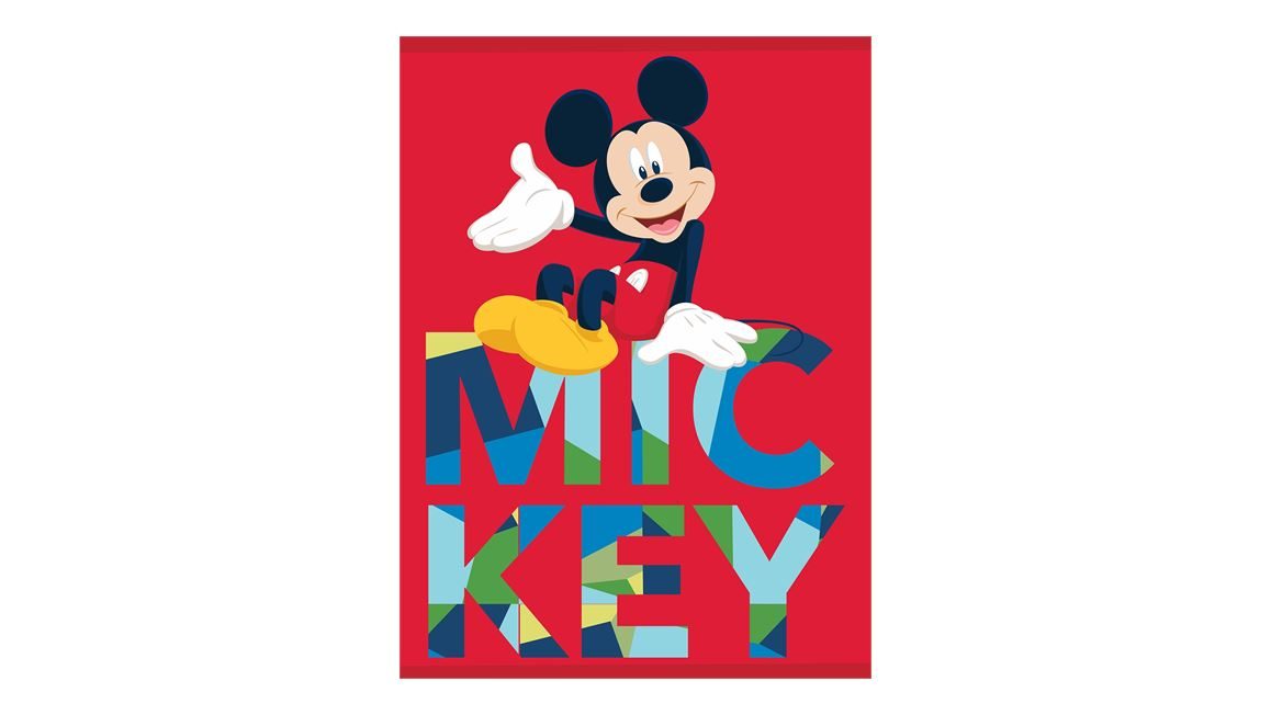 Disney Mickey Mouse Fleece Plaid