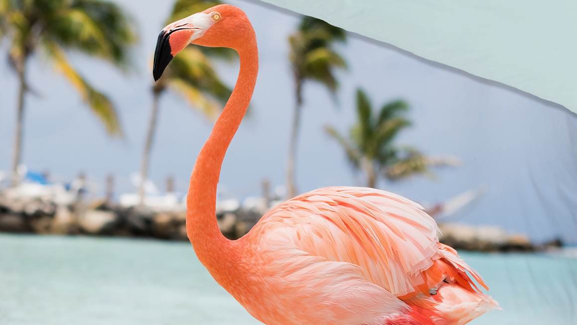 Good Morning Goodlife dekbedovertrek