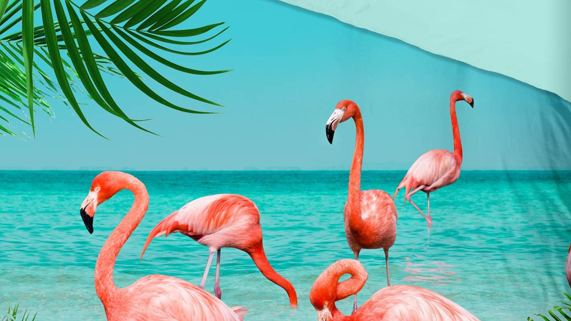 Pure Flamingo dekbedovertrek
