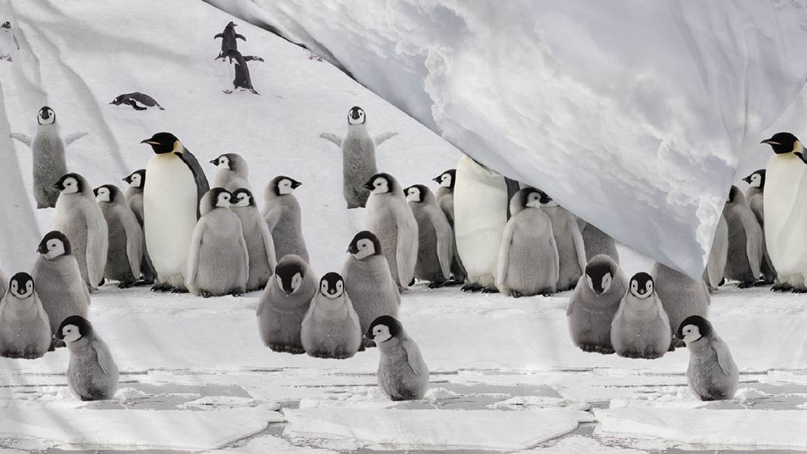 Zohome Pinguin flanel dekbedovertrek