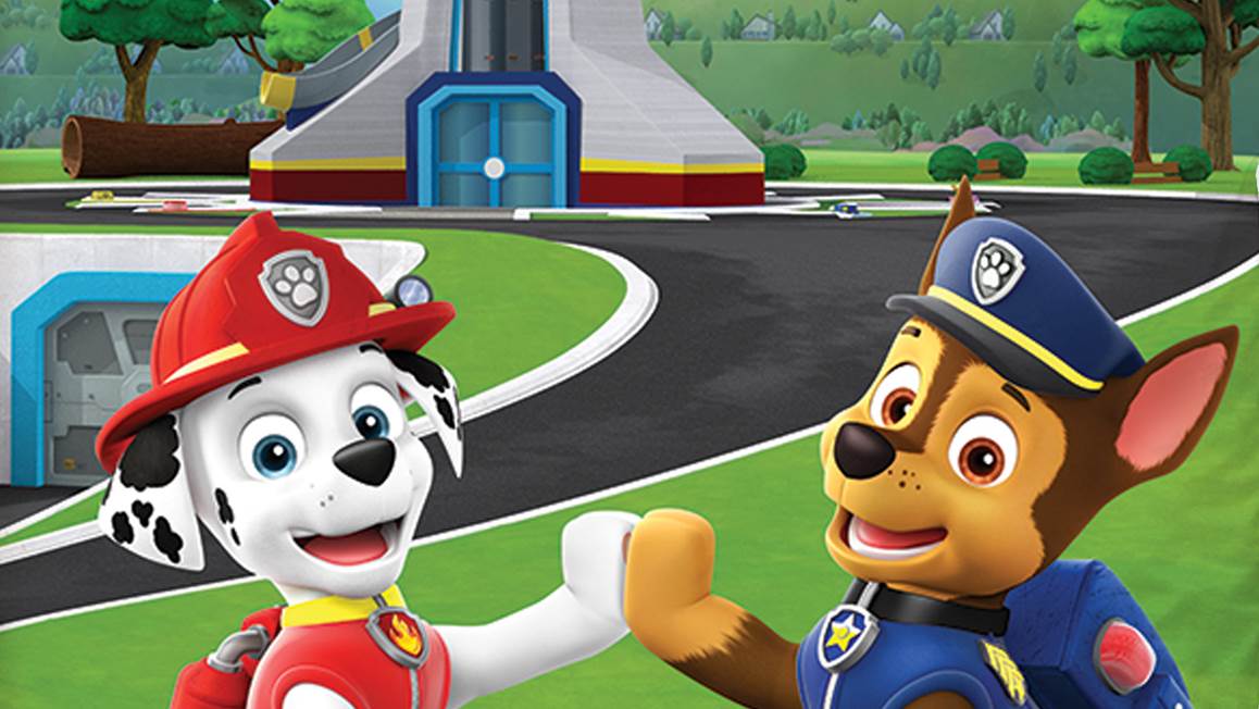 Paw Patrol dekbedovertrek