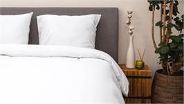 Kayori Aya dekbedovertrek