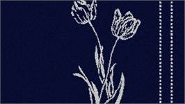 DDDDD Lisse Keukendoek (set van 6)