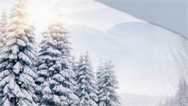Pure Winter View dekbedovertrek