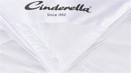 Cinderella Lounge donzen 4-seizoenen dekbed