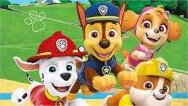 Paw Patrol dekbedovertrek