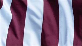 Essenza Minte Stripe dekbedovertrek