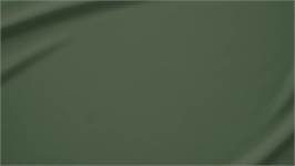 Snoozing percale katoen laken