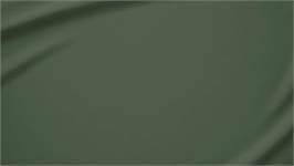 Snoozing katoen-satijn kussenslopen (set van 2)