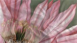 Heckettlane Mesa dekbedovertrek