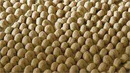 Zohome Fabrizio badmat