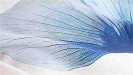 Essenza Kati dekbedovertrek