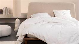 Essenza Palma dekbedovertrek