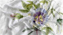 Heckettlane Anula dekbedovertrek