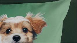 Good Morning Mambo dekbedovertrek