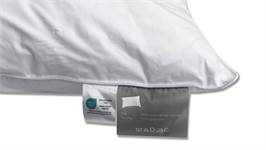 Snoozing Swiss Dreams synthetisch medium hoofdkussen