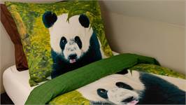 Snoozing Pandas dekbedovertrek