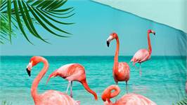 Pure Flamingo dekbedovertrek