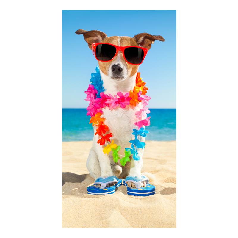 Good Morning Buddy strandlaken