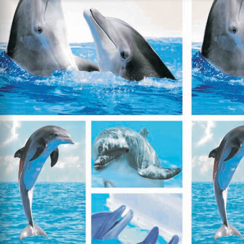 Snoozing Dolphins flanel dekbedovertrek