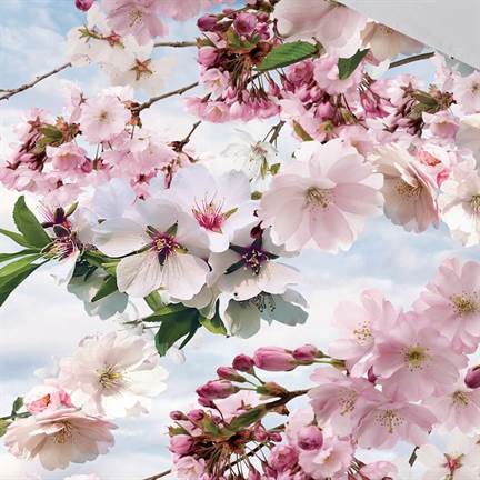 Snoozing Blossomtree flanel dekbedovertrek