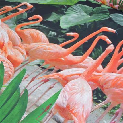 Snoozing Flamingo dekbedovertrek